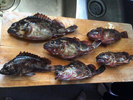 これから本番だー！