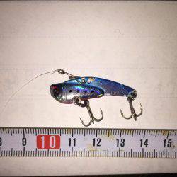 ガシラ狙いのはずが・・・