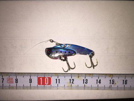 ガシラ狙いのはずが・・・