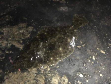 五目釣り達成❗️