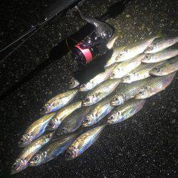 着いたと同時にまさかの…