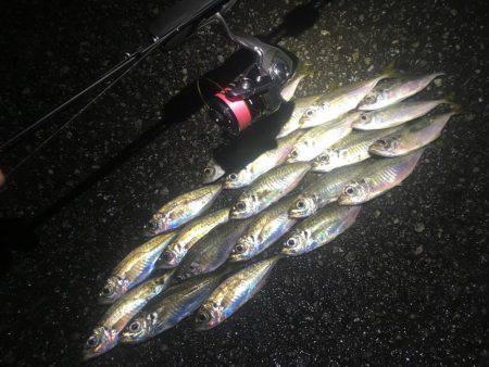 着いたと同時にまさかの…