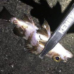 五目ライトGAME！