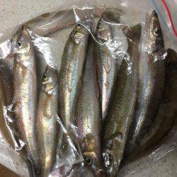 落ちギスちょい投げ