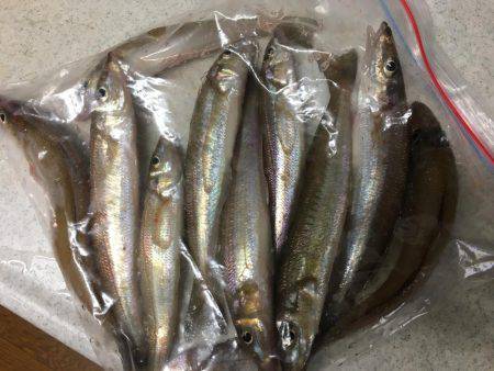 落ちギスちょい投げ