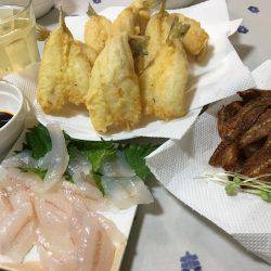 落ちギスちょい投げ