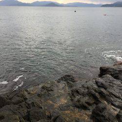 ラスト釣行かな？