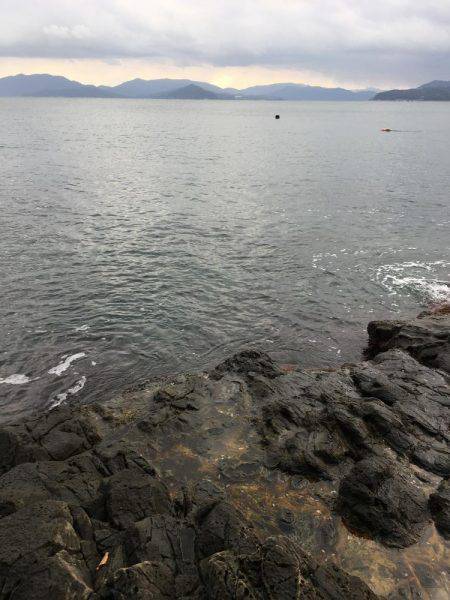 ラスト釣行かな？