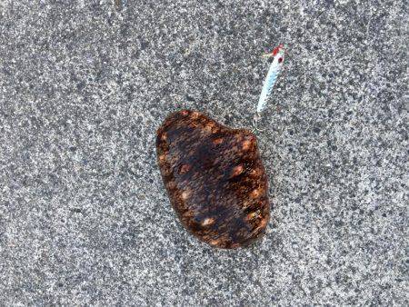 スーパーライトショアジギング