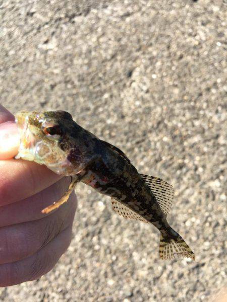 やっぱり楽しい(o^^o)