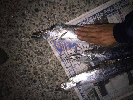 ドラゴンかな❓