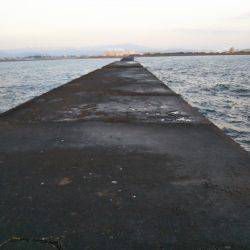 阿南市の辰巳北突堤テンヤでタチウオ