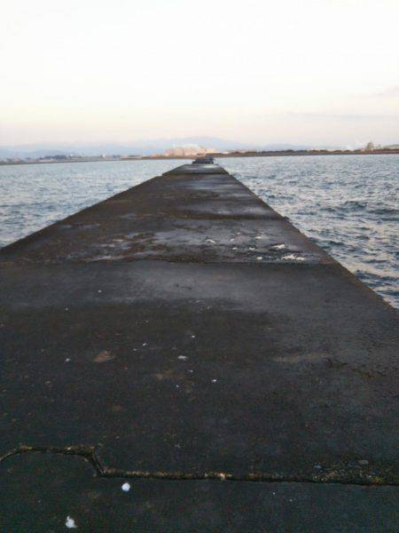 阿南市の辰巳北突堤テンヤでタチウオ