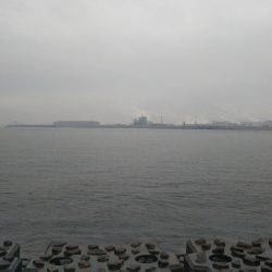 阿南市の那賀川河口テンヤでタチウオ