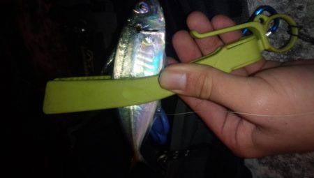 クリスマスプレゼントを釣りに！