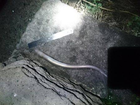 アジ狙いで行くも撃沈(21時~22時半 西大分赤灯台)