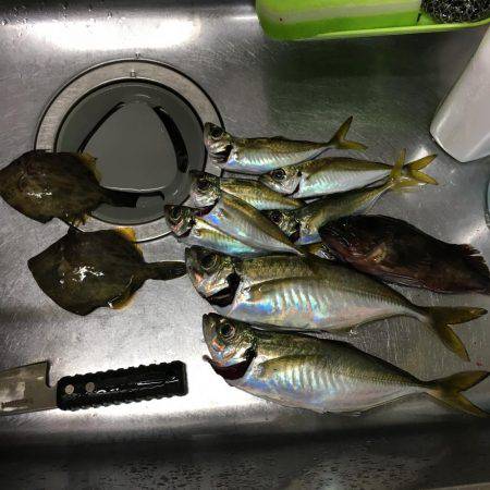 ハゲはダメでしたがー！