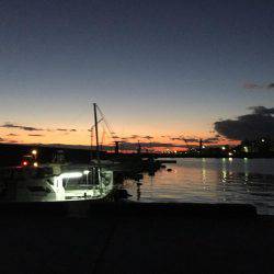 今年最後にビッグなガシラが釣れました