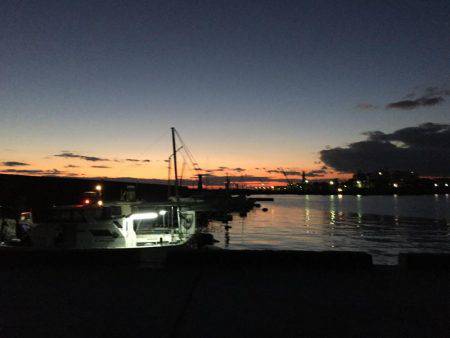 今年最後にビッグなガシラが釣れました