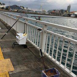 久し振りの良型