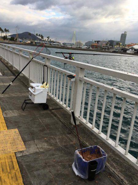 久し振りの良型