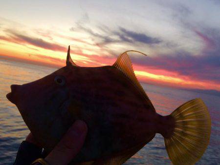 ホゲリンピック(笑)