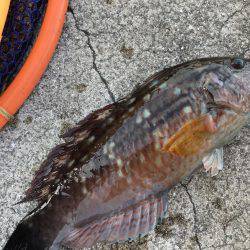 あったかかった〜♪