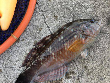 あったかかった〜♪