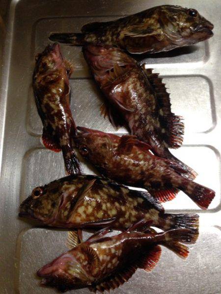 クリスマスロック！