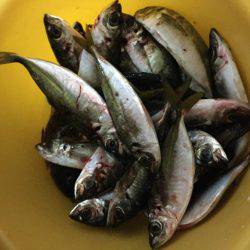 ライトゲーム島