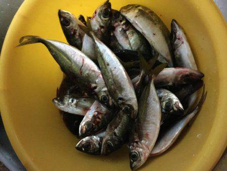 ライトゲーム島