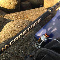 まだまだ太刀魚はいます！