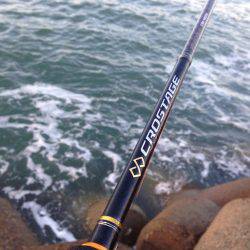 今年最後の刀狩り