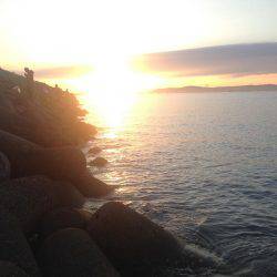 まだ太刀魚釣れる？