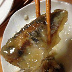 アジ、アジ、アジ！