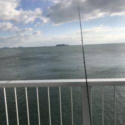 キス、イシモチ、カワハギ