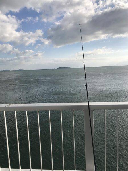 キス、イシモチ、カワハギ