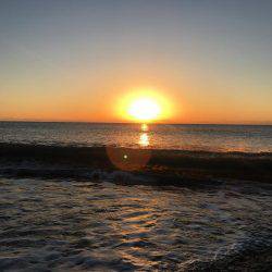 新宮市でサゴシ爆釣！