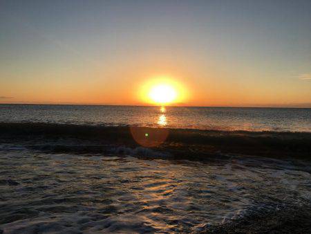 新宮市でサゴシ爆釣！