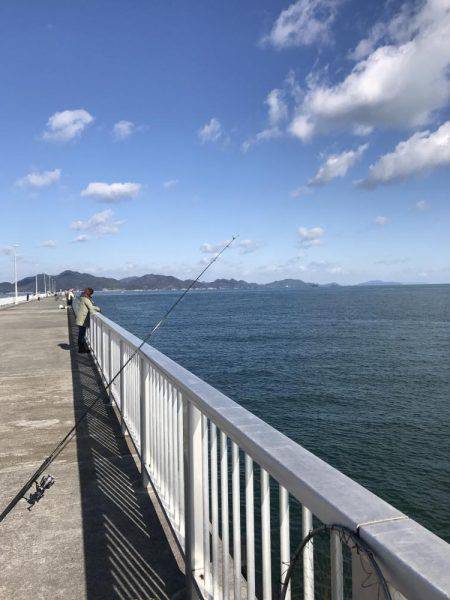 サバ、カワハギ