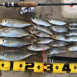 オールナイトアジング