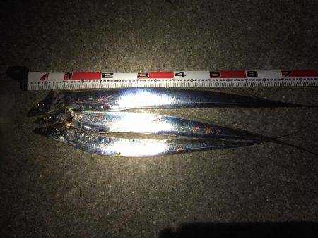 初ドラゴン〜〜まさかのバラシ(>_<)