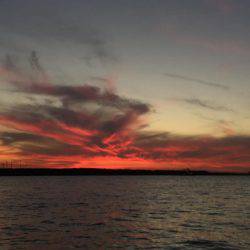 タチウオ⤵︎根魚↑