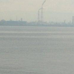 太刀魚は底にいるよー