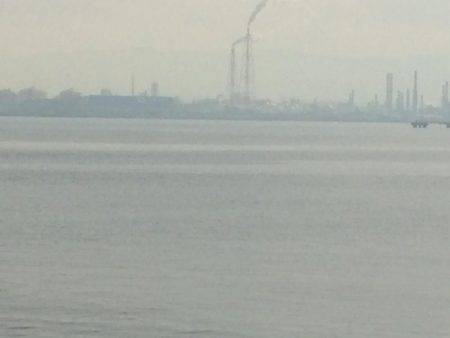 太刀魚は底にいるよー