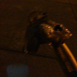 やっと釣れたー