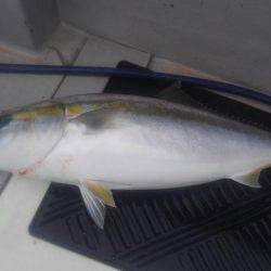 初めてのジギング船