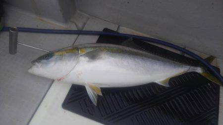 初めてのジギング船