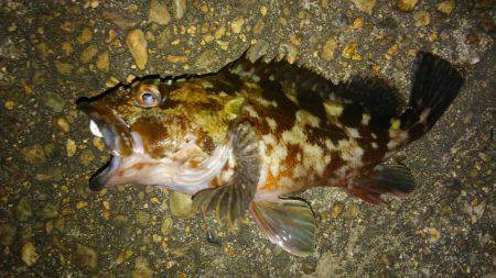 いい釣り納めになりました♪