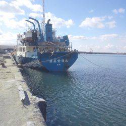 まだキスいました